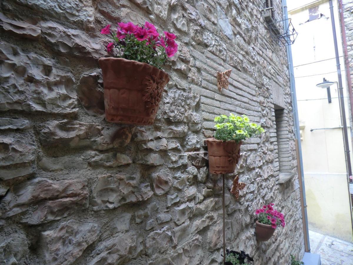 La Corta Di Spello Camere ภายนอก รูปภาพ