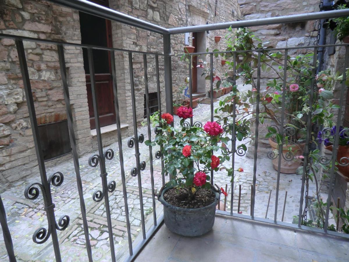 La Corta Di Spello Camere ภายนอก รูปภาพ
